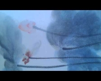心經(佛經)